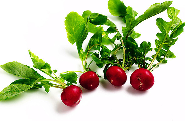 포토 JPG 스튜디오촬영 음식 다수 채소 식재료 실내 사람없음 빨간색 초록색 농작물 여러개 적환무 국내포토 컬러 농업 내부 무 파일형식