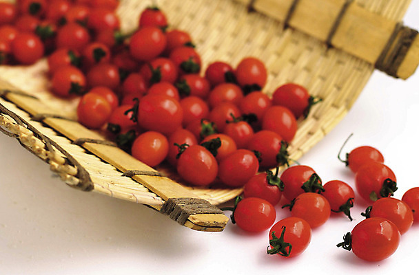 포토 JPG 스튜디오촬영 음식 다수 토마토 채소 과일 식재료 방울토마토 열쇠 실내 사람없음 빨간색 농작물 여러개 농기구 키_도구 국내포토 컬러 농업 내부 도구 파일형식