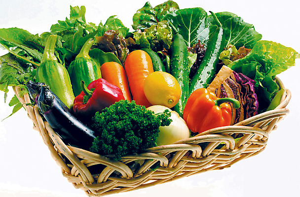 포토 JPG 스튜디오촬영 열매 음식 다수 채소 식재료 호박 양파 오이 파프리카 실내 사람없음 빨간색 초록색 농작물 여러개 당근 다양 상추 브로콜리 레몬 애호박 적채 쌈채소 케일 국내포토 식물 컬러 농업 과일 뿌리채소 내부 양배추 파일형식