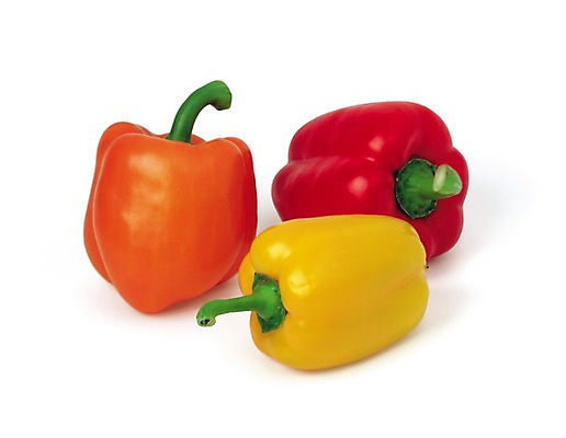 포토 JPG 스튜디오촬영 음식 채소 식재료 파프리카 실내 사람없음 빨간색 농작물 노란색 주황색 국내포토 컬러 농업 내부 파일형식