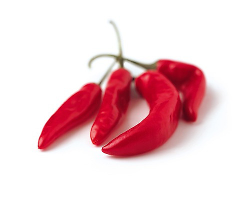 포토 JPG 스튜디오촬영 음식 다수 채소 식재료 고추 실내 사람없음 빨간색 농작물 여러개 홍고추 국내포토 컬러 농업 내부 파일형식