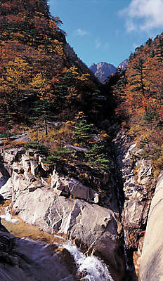 포토 JPG 나무 식물 구름 로우앵글 컬러 단풍 자연 하늘 산 한국 파노라마 풍경 사람없음 야외 물 관광지 계곡 흐름 가을 돌_바위 바위 상쾌 산기슭 금강산 국내포토 자연요소 계절 감정 아시아 뷰포인트 여행 컨셉 잎 촬영기법 생태계 파일형식