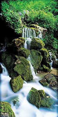 포토 JPG 나무 식물 컬러 자연 산 한국 파노라마 이끼 풍경 사람없음 야외 초록색 물 계곡 흐름 돌_바위 바위 풀 상쾌 산기슭 덕항산 국내포토 자연요소 감정 아시아 컨셉 촬영기법 생태계 삼척 파일형식