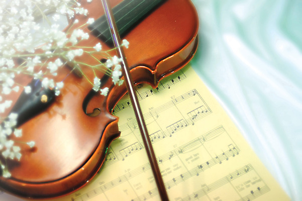 포토 JPG 식물 꽃 악기 컬러 여러송이 백그라운드 실내 사람없음 아웃포커스 하이앵글 바이올린 악보 활 안개꽃 국내포토 음악 뷰포인트 다수 현악기 촬영기법 내부 한해살이풀 파일형식