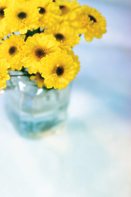 포토 JPG 식물 꽃 컬러 여러송이 백그라운드 실내 사람없음 아웃포커스 하이앵글 노란색 꽃병 데이지 국내포토 뷰포인트 다수 촬영기법 내부 파일형식