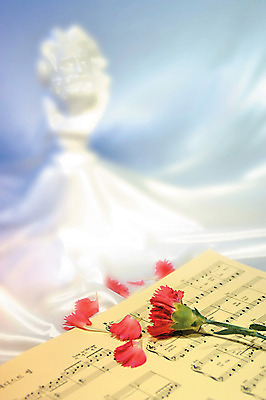 포토 JPG 식물 꽃잎 꽃 컬러 백그라운드 한송이 실내 사람없음 아웃포커스 카네이션 악보 석고상 석고모형 국내포토 1 음악 촬영기법 내부 모형 송이 파일형식