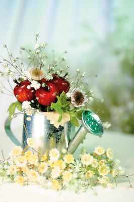 포토 JPG 식물 꽃 컬러 여러송이 백그라운드 꽃백그라운드 실내 사람없음 아웃포커스 물뿌리개 안개꽃 조화 조리개 국내포토 다수 촬영기법 내부 한해살이풀 파일형식