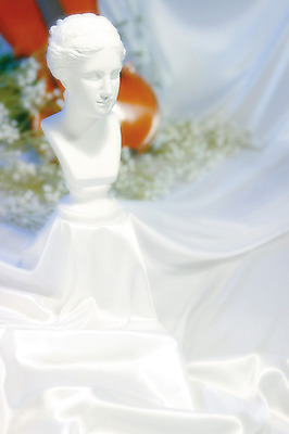 포토 JPG 식물 꽃 악기 컬러 백그라운드 꽃백그라운드 실내 사람없음 아웃포커스 바이올린 안개꽃 석고상 석고모형 국내포토 음악 현악기 촬영기법 내부 모형 한해살이풀 파일형식