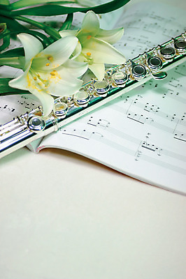 포토 JPG 식물 꽃 악기 컬러 백그라운드 음표 꽃백그라운드 실내 사람없음 흰색 백합 플루트 두송이 악보 국내포토 기호 음악 2 관악기 내부 파일형식