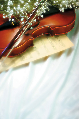 포토 JPG 식물 꽃 악기 컬러 여러송이 백그라운드 실내 사람없음 아웃포커스 하이앵글 직물 천 바이올린 활 안개꽃 국내포토 음악 뷰포인트 다수 현악기 촬영기법 내부 한해살이풀 파일형식