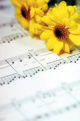 포토 JPG 식물 꽃 컬러 백그라운드 음표 실내 사람없음 아웃포커스 하이앵글 노란색 두송이 악보 데이지 국내포토 기호 음악 뷰포인트 2 촬영기법 내부 파일형식