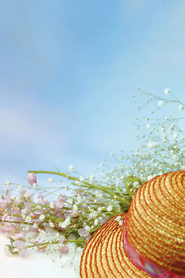 포토 JPG 식물 모자 꽃 컬러 여러송이 백그라운드 실내 사람없음 아웃포커스 안개꽃 국내포토 잡화 다수 촬영기법 내부 한해살이풀 파일형식