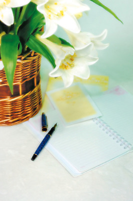 포토 JPG 식물 꽃 컬러 여러송이 백그라운드 실내 사람없음 아웃포커스 하이앵글 필기구 만년필 바구니 공책 흰색 메모지 백합 국내포토 뷰포인트 다수 문구용품 촬영기법 내부 펜 사무용품 파일형식