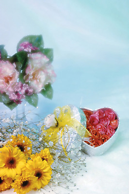 포토 JPG 식물 꽃 리본 컬러 꽃다발 여러송이 백그라운드 실내 사람없음 아웃포커스 선물상자 하이앵글 꽃병 데이지 안개꽃 하트상자 국내포토 뷰포인트 다수 촬영기법 선물 내부 상자 한해살이풀 파일형식