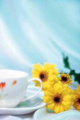 포토 JPG 식물 꽃 컬러 여러송이 백그라운드 실내 사람없음 아웃포커스 노란색 커피잔 찻잔 컵받침 데이지 국내포토 커피 다수 잔 촬영기법 내부 받침대 파일형식