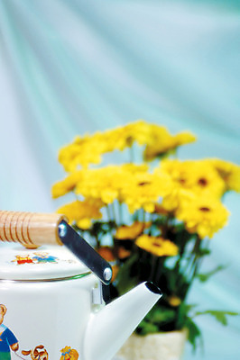 포토 JPG 식물 꽃 컬러 여러송이 백그라운드 주전자 실내 사람없음 아웃포커스 꽃병 데이지 국내포토 다수 주방용품 촬영기법 내부 파일형식