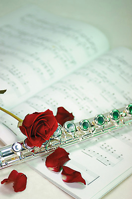 포토 JPG 식물 꽃잎 꽃 악기 컬러 백그라운드 한송이 실내 사람없음 아웃포커스 책 빨간색 장미 플루트 악보 국내포토 1 음악 촬영기법 관악기 내부 송이 파일형식