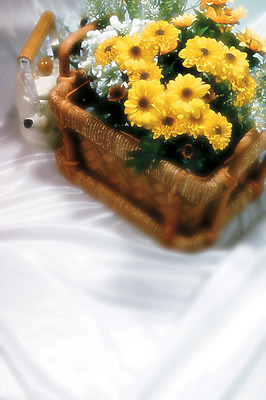 포토 JPG 식물 꽃 컬러 여러송이 백그라운드 주전자 실내 사람없음 하이앵글 노란색 바구니 직물 천 데이지 꽃바구니 국내포토 뷰포인트 다수 주방용품 내부 파일형식