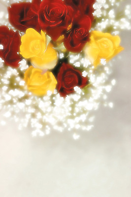 포토 JPG 식물 꽃 컬러 여러송이 백그라운드 실내 사람없음 아웃포커스 빨간색 하이앵글 장미 노란색 꽃병 국내포토 뷰포인트 다수 촬영기법 내부 파일형식