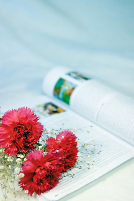 포토 JPG 식물 꽃 컬러 백그라운드 실내 사람없음 아웃포커스 책 빨간색 잡지 카네이션 세송이 안개꽃 국내포토 촬영기법 3 내부 간행물 한해살이풀 파일형식