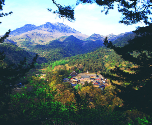 포토 JPG 주간 나무 식물 한국문화 한국전통 전통 건축물 건축 아시아 종교 전통문화 고건축 종교건축 자연 종교시설 산 한국 풍경 사람없음 야외 건물 하이앵글 동양건축 문화재 사찰 사원 역사 경상도 경상남도 산속 합천 해인사 국내포토 자연요소 동양문화 나라 문화 뷰포인트 비즈니스 시설 생태계 파일형식 동양