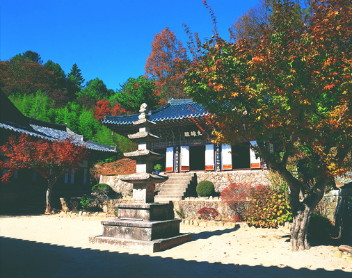 포토 JPG 주간 나무 식물 한국문화 한국전통 전통 건축물 건축 아시아 종교 전통문화 고건축 불교 종교건축 종교시설 한국 그림자 풍경 사람없음 야외 건물 탑 동양건축 문화재 사찰 사원 역사 석탑 전라도 전라남도 불탑 대웅전 선암사 순천 국내포토 자연요소 동양문화 나라 문화 비즈니스 시설 파일형식 동양