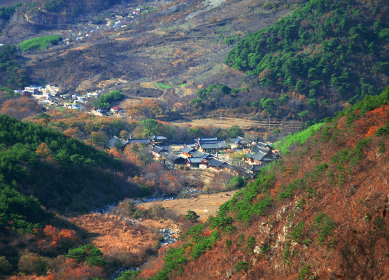 포토 JPG 주간 한국문화 한국전통 전통 건축물 건축 아시아 종교 전통문화 고건축 종교건축 자연 종교시설 산 한국 풍경 사람없음 야외 건물 하이앵글 동양건축 문화재 사찰 사원 역사 경상도 경상남도 산속 밀양 표충사 국내포토 자연요소 동양문화 나라 문화 뷰포인트 비즈니스 시설 생태계 파일형식 동양