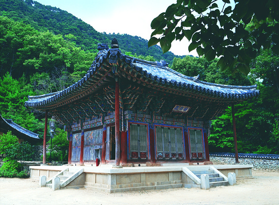 포토 JPG 주간 한국문화 한국전통 전통 건축물 건축 아시아 종교 전통문화 고건축 불교 종교건축 종교시설 산 한국 풍경 사람없음 야외 건물 동양건축 문화재 사찰 사원 역사 경상북도 경상도 도리사 도리사극락전 국내포토 자연요소 동양문화 나라 문화 비즈니스 시설 파일형식 동양 구미