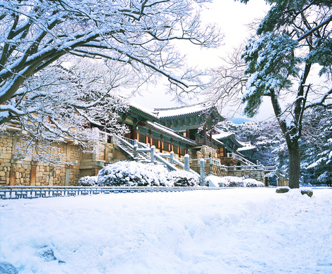 포토 JPG 주간 나무 식물 한국문화 한국전통 전통 건축물 계절 건축 아시아 종교 전통문화 고건축 설경 겨울 불교 종교건축 종교시설 한국 풍경 사람없음 야외 건물 관광지 동양건축 세계문화유산 문화재 눈 경주 사찰 사원 역사 경상북도 경상도 불국사 국내포토 자연요소 동양문화 나라 문화 여행 비즈니스 날씨 시설 랜드마크 파일형식 동양