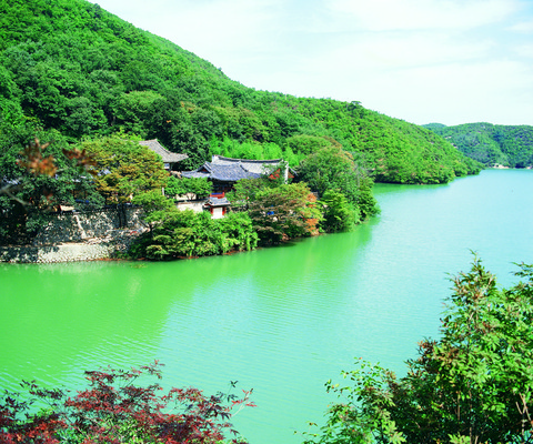 포토 JPG 주간 나무 식물 한국문화 한국전통 전통 건축물 아시아 종교 전통문화 컬러 고건축 불교 종교건축 자연 종교시설 산 한국 풍경 사람없음 야외 건물 초록색 강 동양건축 문화재 사찰 사원 역사 신라 숲 경상북도 경상도 포항 국내포토 자연요소 동양문화 건축 나라 문화 비즈니스 한국사 시설 생태계 파일형식 동양