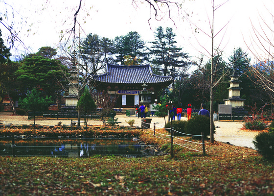 포토 JPG 주간 나무 식물 한국문화 한국전통 전통 건축물 건축 아시아 종교 전통문화 고건축 불교 종교건축 종교시설 한국 사람 풍경 야외 탑 동양건축 문화재 연못 사찰 사원 역사 석탑 신라 전라북도 전라도 불탑 남원 실상사 통일신라 국내포토 자연요소 동양문화 나라 문화 비즈니스 한국사 시설 파일형식 동양 신라_역사