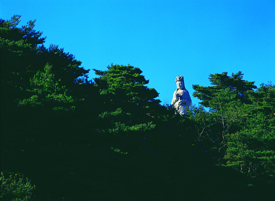 포토 JPG 주간 나무 식물 한국문화 한국전통 전통 아시아 전통문화 하늘 유물 한국 풍경 사람없음 야외 조형물 동상 조각상 맑음 문화재 역사 신라 숲 불상 석상 강원도 낙산사 양양군 입상 통일신라 해수관음상 국내포토 자연요소 동양문화 나라 문화 불교 날씨 미술 사찰 한국사 상패 기념물 관음상 양양 파일형식 신라_역사