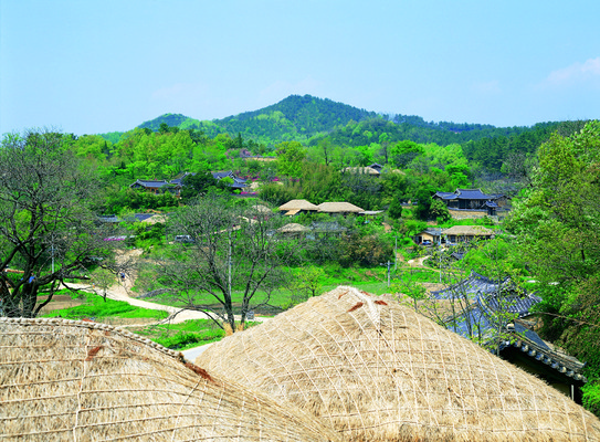 포토 JPG 주간 나무 식물 한국문화 한국전통 전통 아시아 전통문화 고건축 자연 지붕 산 한옥 주택 한국 초가집 기와집 풍경 사람없음 야외 하이앵글 마을 시골 시골집 민속 민속촌 민속마을 양동마을 국내포토 자연요소 동양문화 건축물 나라 문화 뷰포인트 건물 경주_경상북도 생태계 파일형식