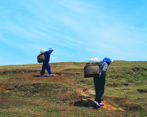 포토 JPG 주간 구름 여자 아시아 하늘 노동자 한국 어업 사람 동양인 성인 야외 두명 옆모습 바구니 소쿠리 광주리 걷기 맑음 한국인 짐 작업 작업실 언덕 어촌 부표 해녀 등짐 비바리 여자만 성인여자만 성인만 국내포토 자연요소 직업 나라 산업 뷰포인트 모션 날씨 인종 시골 파일형식