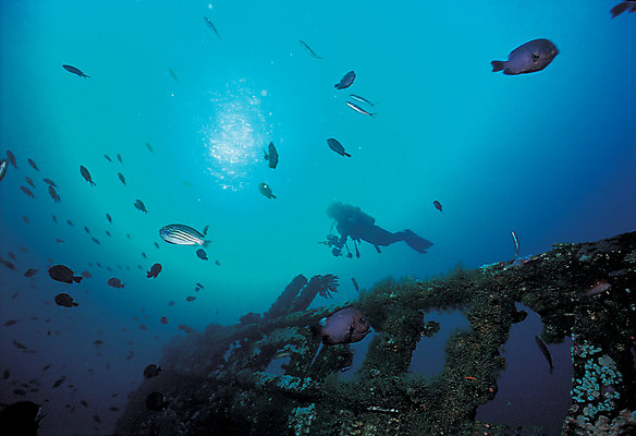 포토 JPG 주간 동물 바다 로우앵글 컬러 다수 여러마리 자연 어류 한명 사람 풍경 야외 바닷속 해저 수중 바다동물 수중동물 손상 빈티지 한척 잠수부 잠수 생태계 스쿠버다이빙 청록색 난파선 스쿠버다이버 선박 수중사진 국내포토 자연요소 1 뷰포인트 컨셉 수상교통 배_교통 수상스포츠 전문직 파일형식