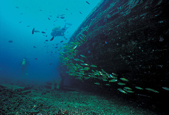 포토 JPG 주간 동물 바다 다수 여러마리 자연 어류 풍경 야외 두명 바닷속 해저 수중 수영 바다동물 수중동물 한척 잠수부 잠수 생태계 스쿠버다이빙 난파선 노랑꼬리피쉬 선박 수중사진 국내포토 자연요소 1 수상교통 배_교통 사람 수상스포츠 전문직 파일형식