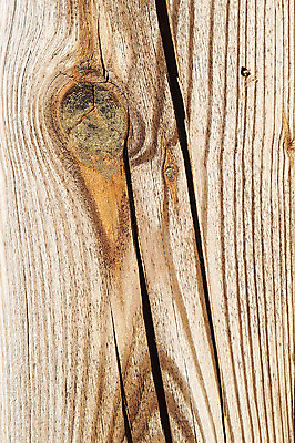 포토 JPG 나무 문양 컬러 백그라운드 무늬 표면 근접촬영 사람없음 목재 갈색 균열 건축자재 결 나이테 자재 국내포토 식물 뷰포인트 재료 모션 파일형식