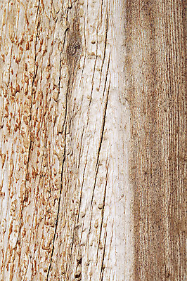 포토 JPG 나무 백그라운드 표면 근접촬영 사람없음 목재 거친 균열 건축자재 결 자재 울퉁불퉁 국내포토 식물 뷰포인트 무늬 재료 모션 파일형식