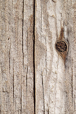 포토 JPG 나무 백그라운드 표면 근접촬영 사람없음 목재 균열 건축자재 결 자재 국내포토 식물 뷰포인트 무늬 재료 모션 파일형식