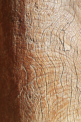 포토 JPG 나무 문양 컬러 백그라운드 무늬 표면 근접촬영 사람없음 목재 갈색 균열 건축자재 결 나이테 자재 국내포토 식물 뷰포인트 재료 모션 파일형식