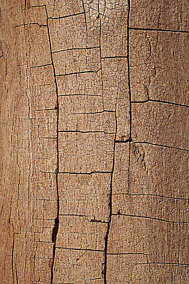 포토 JPG 나무 컬러 백그라운드 표면 근접촬영 사람없음 목재 갈색 균열 건축자재 결 자재 국내포토 식물 뷰포인트 무늬 재료 모션 파일형식