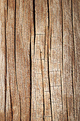 포토 JPG 나무 컬러 백그라운드 표면 근접촬영 사람없음 목재 갈색 균열 건축자재 결 자재 국내포토 식물 뷰포인트 무늬 재료 모션 파일형식