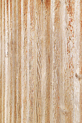 포토 JPG 나무 컬러 백그라운드 표면 근접촬영 사람없음 목재 갈색 건축자재 결 자재 국내포토 식물 뷰포인트 무늬 재료 파일형식