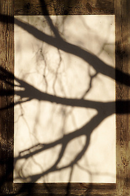포토 JPG 주간 나무 식물 한국문화 한국전통 전통 건축물 건축 아시아 전통문화 벽 백그라운드 고건축 프레임 한국 벽면 그림자 틀 사람없음 야외 건물 목재 담장 동양건축 나뭇가지 가장자리 경계 목조 국내포토 자연요소 동양문화 나라 문화 재료 둘레 파일형식 동양