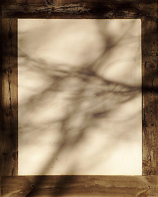 포토 JPG 주간 나무 식물 한국문화 한국전통 전통 건축물 건축 아시아 전통문화 벽 백그라운드 고건축 프레임 한국 벽면 그림자 틀 사람없음 야외 건물 목재 담장 동양건축 나뭇가지 가장자리 경계 목조 국내포토 자연요소 동양문화 나라 문화 재료 둘레 파일형식 동양