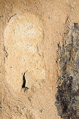 포토 JPG 주간 건축물 건축 벽 컬러 백그라운드 건축양식 표면 돌담 벽면 석조 근접촬영 사람없음 야외 담장 갈색 껍질 거친 지저분함 벗겨짐 국내포토 자연요소 뷰포인트 모션 돌_바위 감각 파일형식