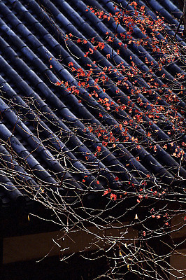 포토 JPG 주간 나무 식물 한국문화 한국전통 전통 건축물 계절 건축 아시아 전통문화 컬러 백그라운드 단풍 고건축 건축양식 지붕 한옥 주택 한국 기와 기와집 그림자 사람없음 야외 건물 빛 가을풍경 검은색 동양건축 가을 나뭇가지 건축자재 국내포토 자연요소 동양문화 나라 문화 잎 풍경 파일형식 동양 가을_계절