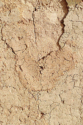 포토 JPG 주간 건축물 건축 벽 컬러 백그라운드 건축양식 표면 벽면 근접촬영 사람없음 야외 담장 갈색 흙 균열 흙벽 국내포토 자연요소 뷰포인트 모션 파일형식