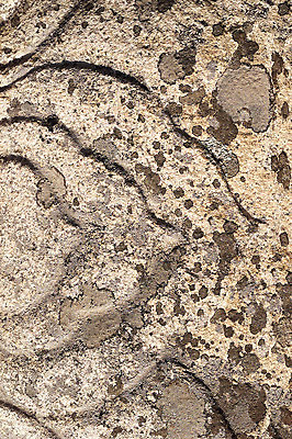 포토 JPG 주간 한국문화 한국전통 전통 문양 전통문화 조각 백그라운드 무늬 표면 한국 석조 이끼 근접촬영 사람없음 야외 조형물 조각상 전통무늬 전통문양 거친 돌조각 부조 조각_조소 국내포토 자연요소 동양문화 아시아 문화 뷰포인트 미술 돌_바위 조소 파일형식