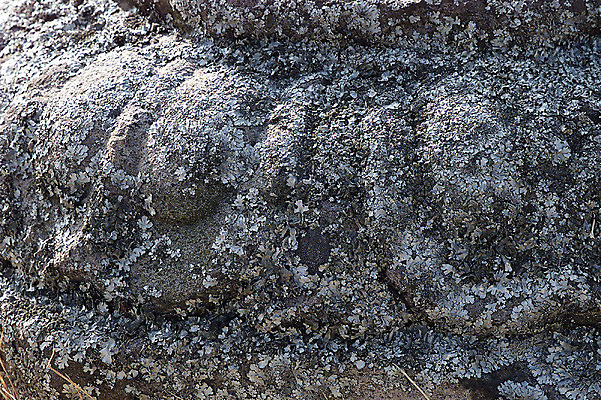 포토 JPG 주간 한국문화 한국전통 전통 문양 전통문화 조각 백그라운드 무늬 표면 한국 석조 이끼 근접촬영 사람없음 야외 조형물 조각상 전통무늬 전통문양 돌_바위 거친 돌조각 부조 조각_조소 국내포토 자연요소 동양문화 아시아 문화 뷰포인트 미술 조소 파일형식